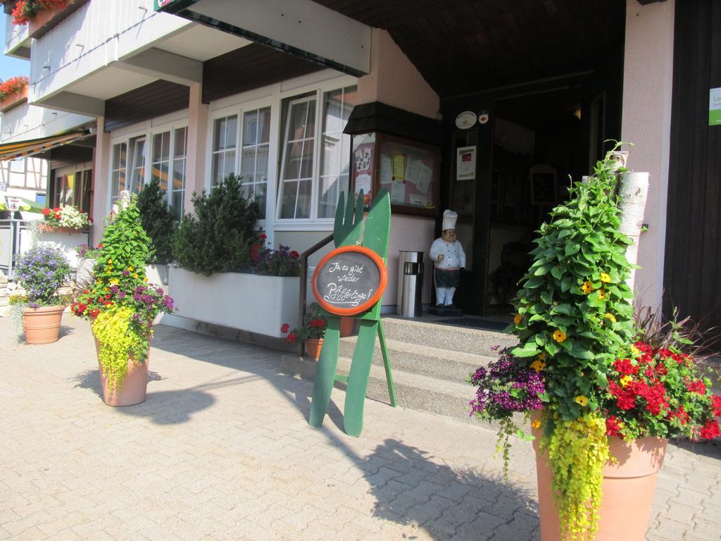 Hotel-Gasthof Hirschen Blumberg Luaran gambar